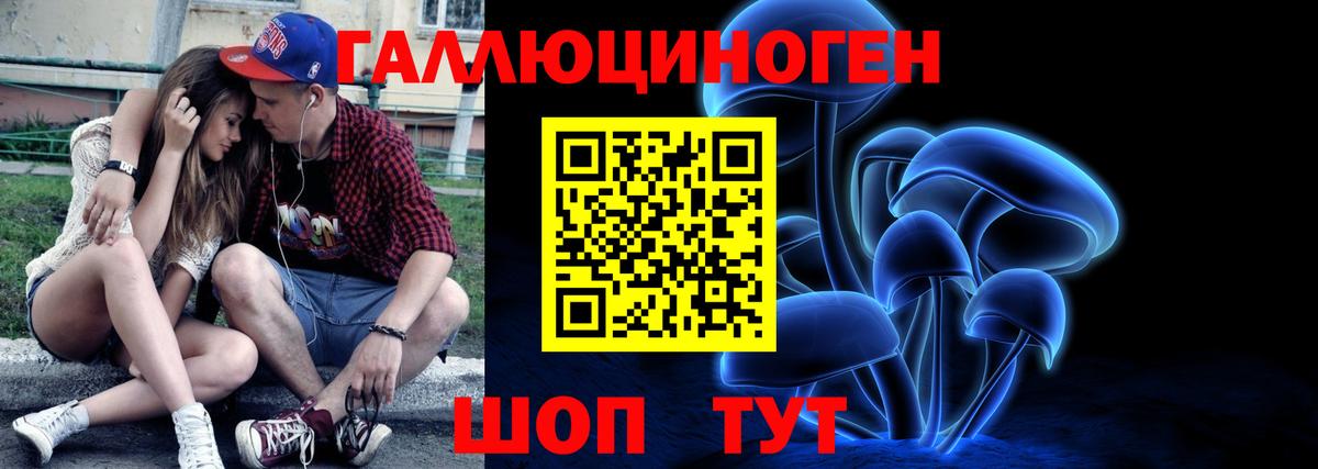 Галлюциногенные грибы Psilocybe Орехово-Зуево